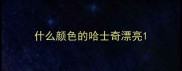 什么颜色的哈士奇漂亮