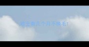 哈士奇几个月不换毛