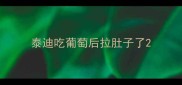 泰迪吃葡萄后拉肚子了