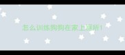 怎么训练狗狗在家上厕所