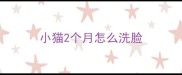 小猫2个月怎么洗脸