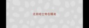 北京哈士奇在哪卖