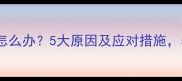 猫咪瞳孔放大怎么办5大原因及应对措施养猫人必看