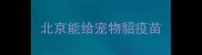 北京能给宠物貂疫苗