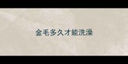 金毛多久才能洗澡