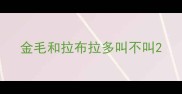 金毛和拉布拉多叫不叫