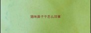 猫咪鼻子干怎么回事