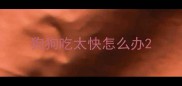 狗狗吃太快怎么办