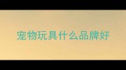 宠物玩具什么品牌好
