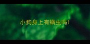 小狗身上有螨虫吗