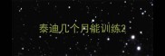 泰迪几个月能训练