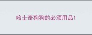 哈士奇狗狗的必须用品