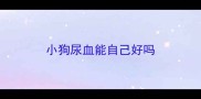 小狗尿血能自己好吗
