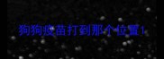 狗狗疫苗打到那个位置