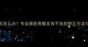 哈士奇前肢变形怎么办专业兽医骨骼发育不良的矫正方法与日常养护指南
