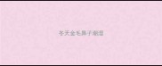冬天金毛鼻子潮湿