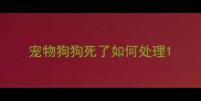 宠物狗狗死了如何处理