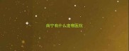南宁有什么宠物医院