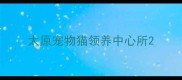 太原宠物猫领养中心所
