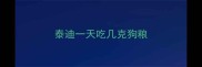 泰迪一天吃几克狗粮