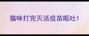 猫咪打完灭活疫苗呕吐