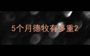 5个月德牧有多重