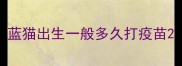 蓝猫出生一般多久打疫苗