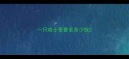 一只哈士奇最低多少钱