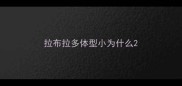 拉布拉多体型小为什么