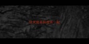 狂犬疫苗和疫苗一起