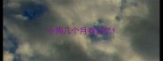小狗几个月有记忆