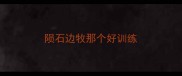 陨石边牧那个好训练