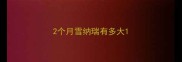 2个月雪纳瑞有多大