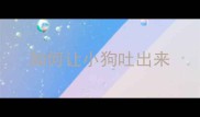 如何让小狗吐出来