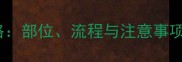 狗狗疫苗全攻略部位流程与注意事项家长必看