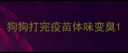 狗狗打完疫苗体味变臭