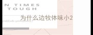 为什么边牧体味小