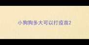 小狗狗多大可以打疫苗