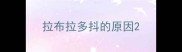 拉布拉多抖的原因