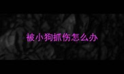 被小狗抓伤怎么办