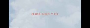 杜宾长大到几个月