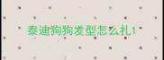 泰迪狗狗发型怎么扎