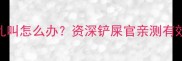 猫咪突然发狂乱叫怎么办资深铲屎官亲测有效的5步降温指南