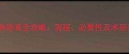 宠物店猫咪绝育全攻略流程必要性及术后护理指南