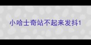 小哈士奇站不起来发抖