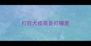 打狂犬疫苗是打哪里