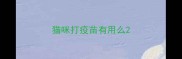 猫咪打疫苗有用么