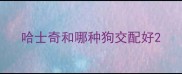 哈士奇和哪种狗交配好