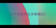 三个月拉布拉多眼睛红