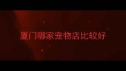 厦门哪家宠物店比较好